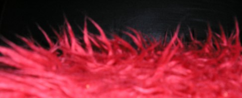 fuzzy-and-red.JPG